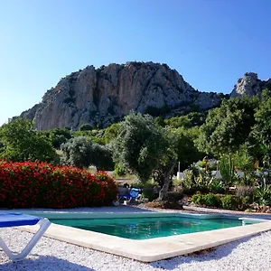 Olive Branch Gasthof El Chorro